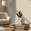 Cushion Style Planter Vase